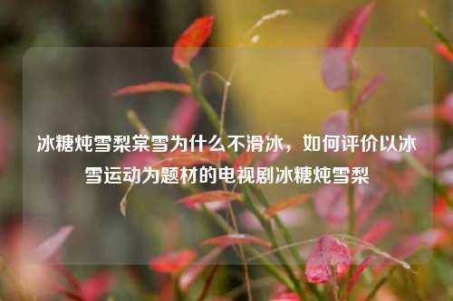 冰糖炖雪梨棠雪为什么不滑冰，如何评价以冰雪运动为题材的电视剧冰糖炖雪梨