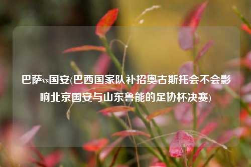 巴萨vs国安(巴西国家队补招奥古斯托会不会影响北京国安与山东鲁能的足协杯决赛)