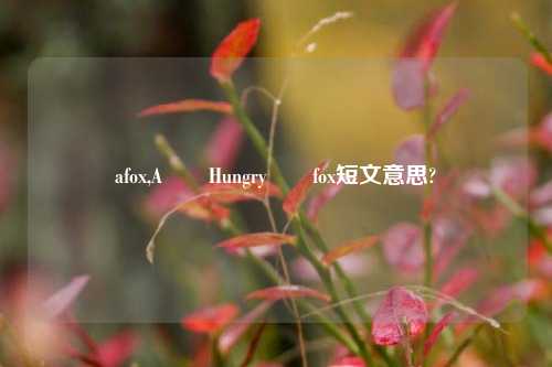 afox,A  Hungry  fox短文意思?