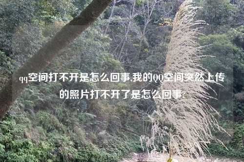 qq空间打不开是怎么回事,我的QQ空间突然上传的照片打不开了是怎么回事?