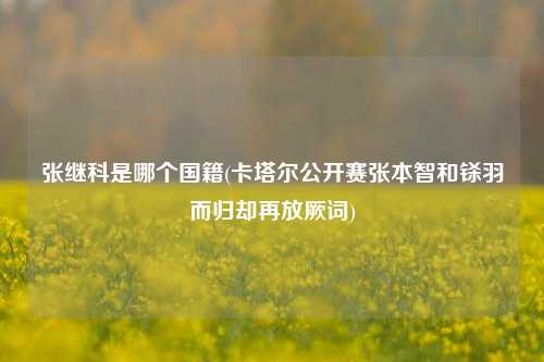 张继科是哪个国籍(卡塔尔公开赛张本智和铩羽而归却再放厥词)