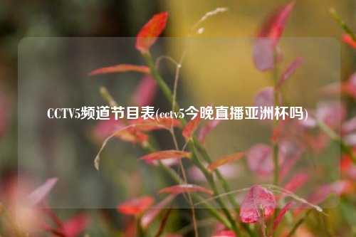 CCTV5频道节目表(cctv5今晚直播亚洲杯吗)