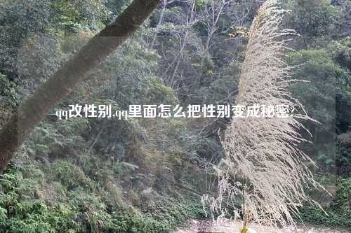 qq改性别,qq里面怎么把性别变成秘密?