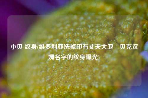 小贝 纹身(维多利亚洗掉印有丈夫大卫•贝克汉姆名字的纹身曝光)