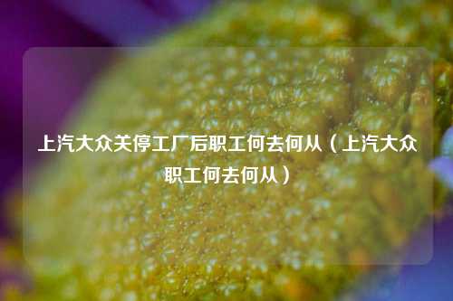上汽大众关停工厂后职工何去何从（上汽大众职工何去何从）
