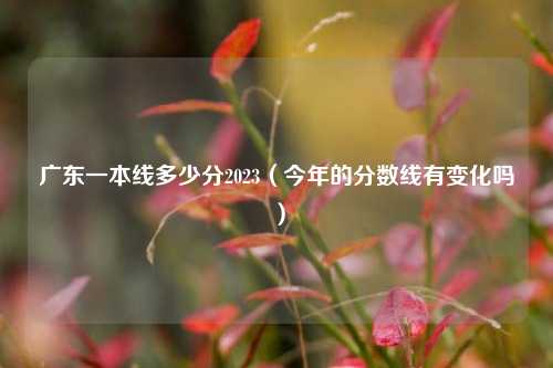 广东一本线多少分2023（今年的分数线有变化吗）