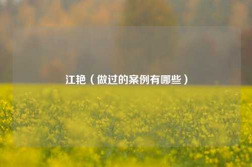 江艳（做过的案例有哪些）