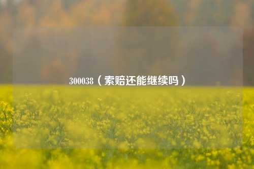 300038（索赔还能继续吗）