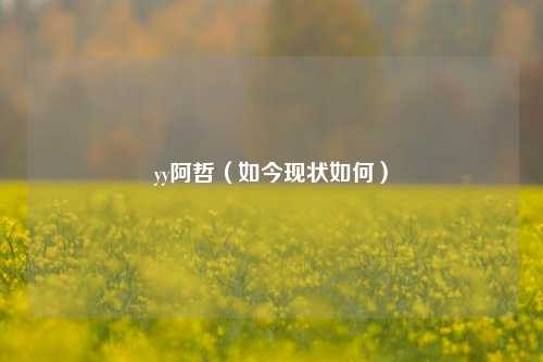 yy阿哲（如今现状如何）