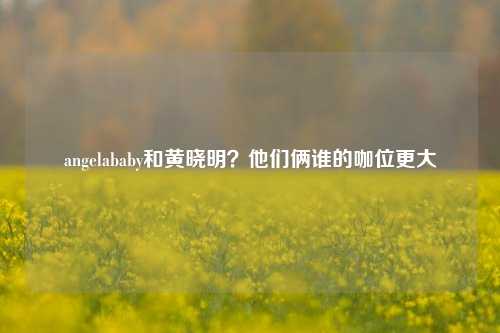 angelababy和黄晓明？他们俩谁的咖位更大