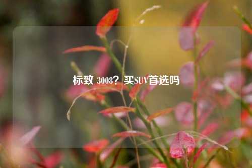 标致 3008？买SUV首选吗