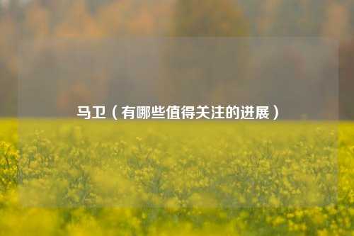 马卫（有哪些值得关注的进展）