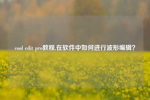 cool edit pro教程,在软件中如何进行波形编辑？