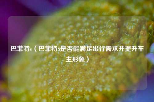 巴菲特s（巴菲特S是否能满足出行需求并提升车主形象）