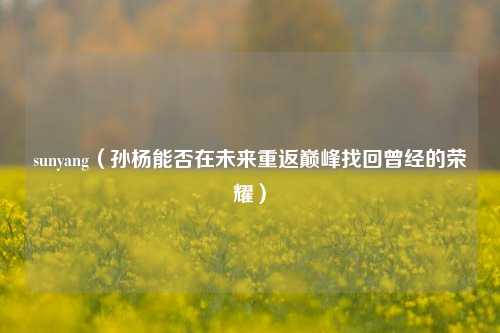 sunyang（孙杨能否在未来重返巅峰找回曾经的荣耀）