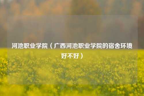 河池职业学院（广西河池职业学院的宿舍环境好不好）