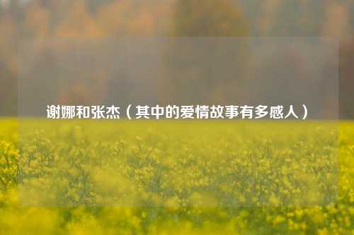 谢娜和张杰（其中的爱情故事有多感人）