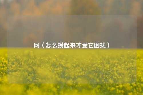 网（怎么捞起来才受它困扰）
